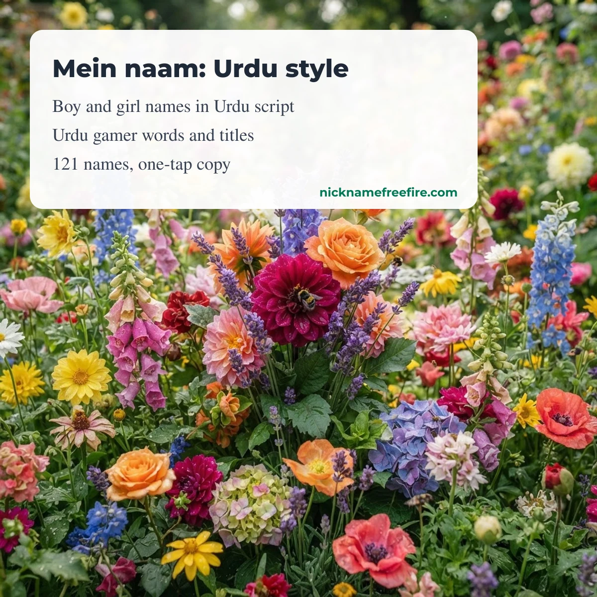 Mein naam Urdu stylish name to copy